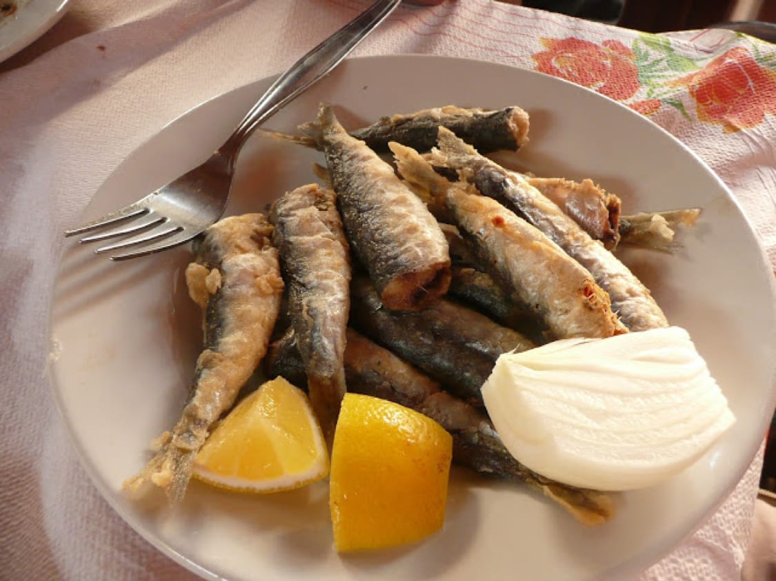 Fish