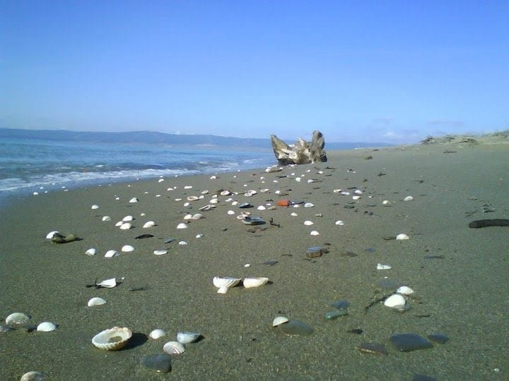 Where to Swim in Gallipoli