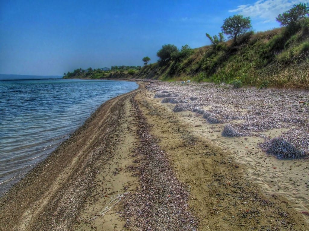 The beach below Koruköy on the Gulf of Saros